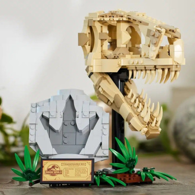 76964f.jpg