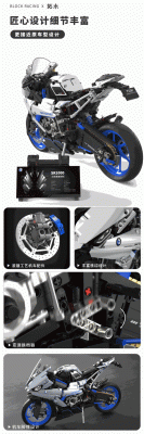 T3007g.gif