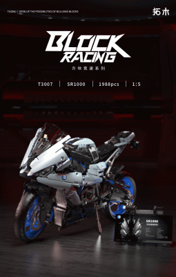 T3007a.gif