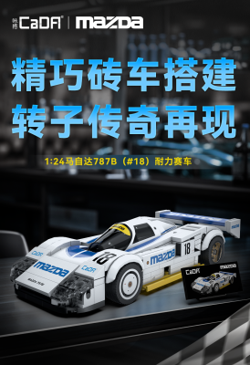 C55029a.png