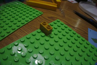 _DSC9499.jpg