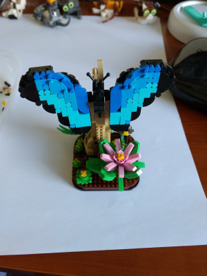 Fertig!