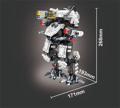 107506c.jpg