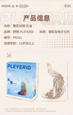 P8161o.jpg