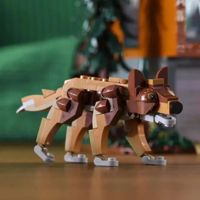 21354i.jpg