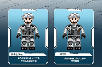 208100j.jpg