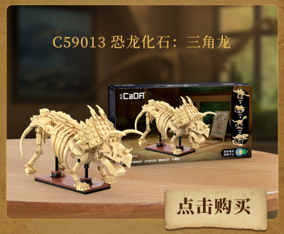 C59012_C59014j.png