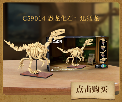 C59012_C59014k.png