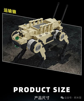 66073i.jpg
