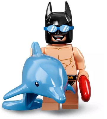 6 Swimming Pool Batman.jpg