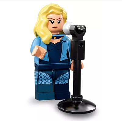 19 Black Canary Dinah Lance.jpg