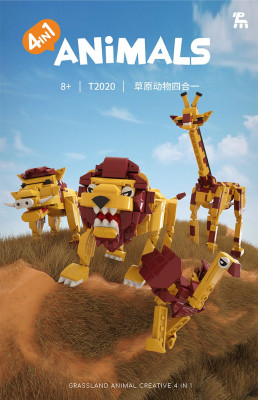 T2020a.jpg