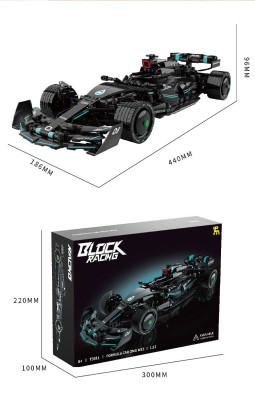 T3011j.jpg