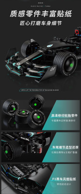 T3011g.jpg