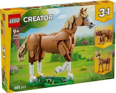 31166a.jpg