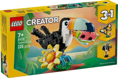 31173a.jpg