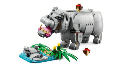 31171e.jpg