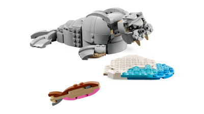 31171d.jpg