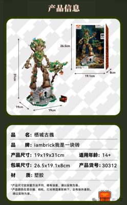 30312g.png