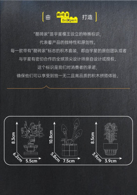 24117b.jpg