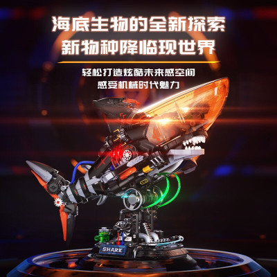 506701b.jpg