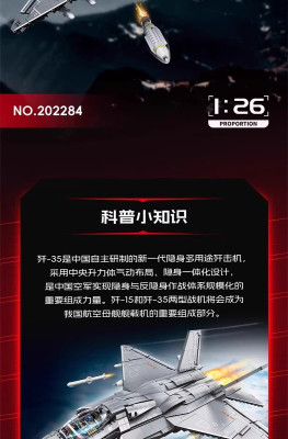 202284b.jpg