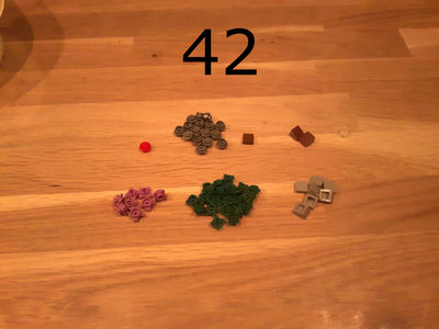 42.jpg