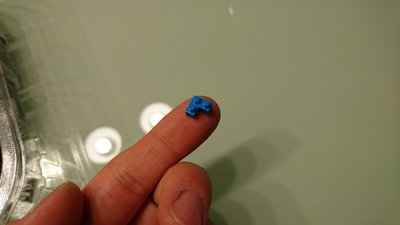 DSC_8980.JPG