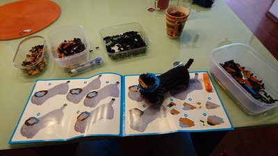 DSC_8987.JPG