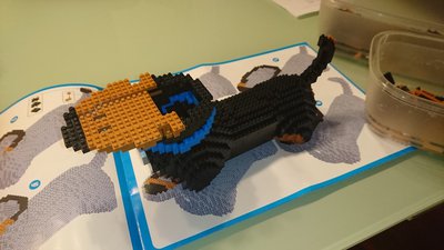 DSC_8989.JPG