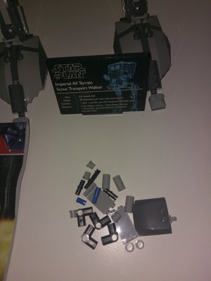 lepin_2.jpg
