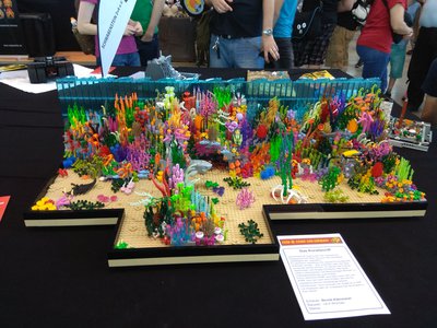 IMG_20180630_104239.jpg