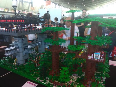 IMG_20180630_105127.jpg