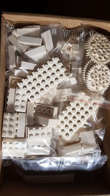 IMG-20181031-WA0014.jpg