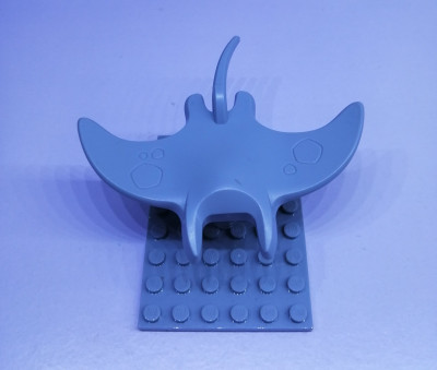 Manta 3.jpg