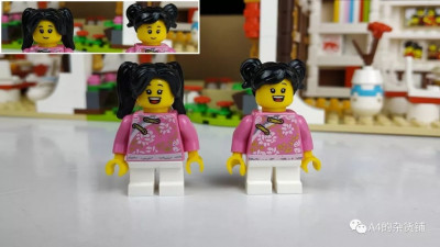 Sembo vs Lepin 11.jpg