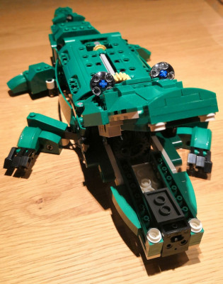 kroko1.jpg