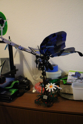 sembutterfly2.jpg