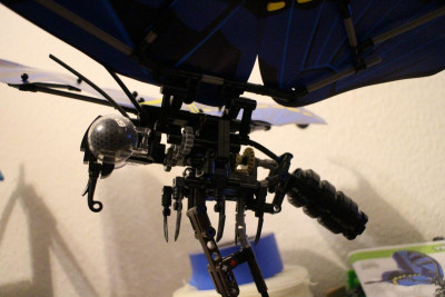 sembutterfly5.jpg