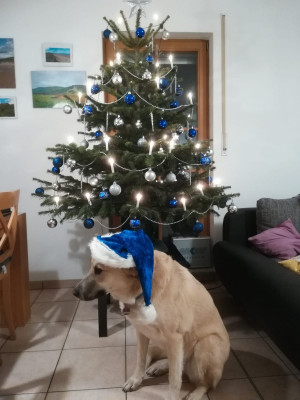 IMG-20191223-WA0021.jpg