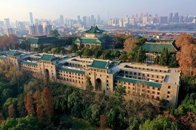 800px-Wuhan_University_Sakura_Castle.jpg