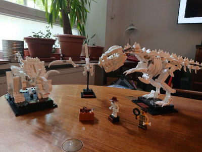 dino1.JPG