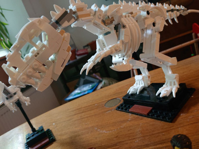 dino4.JPG
