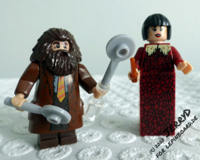 Rubeus Hagrid und Madame Olympe Maxime,