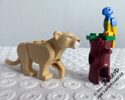 Löwin und Papagai.