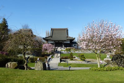 P1000323.JPG