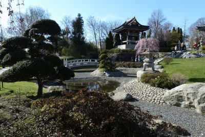P1000336.JPG