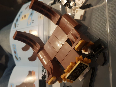 20201126_215934.jpg