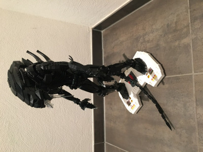 C8A1D21D-3287-46C2-A4D8-70043DB05AF7.jpeg