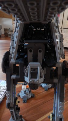 DSCN1500lepin.JPG